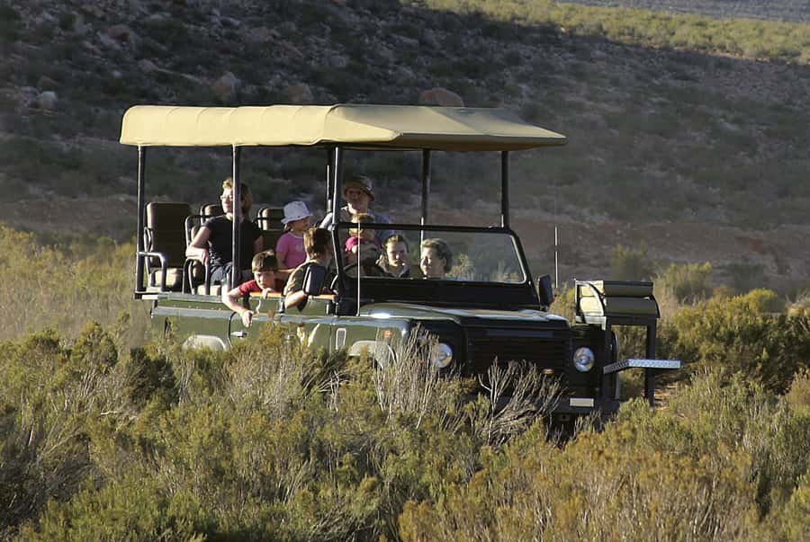 Aquila Reserve: Private Day Tour with Shared Game Drive - Aquila Big 5 Safari From Cape Town, Comfort Meets Wildlife
