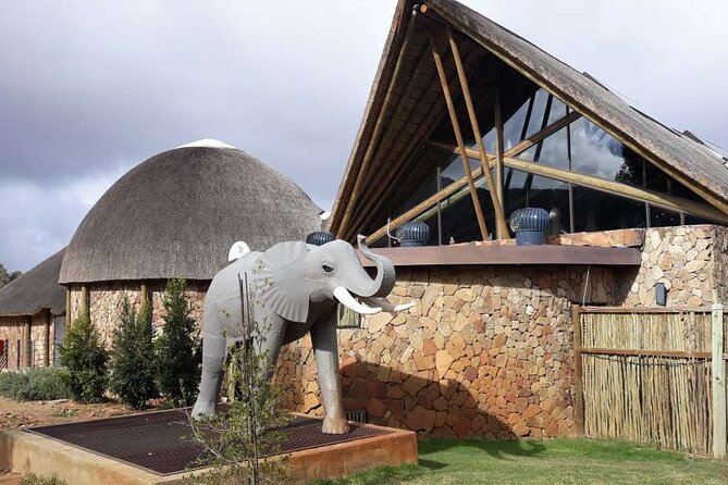 Aquila Safari Game Drive Lunch & Transfers from Cape Town - Getting There: CTICC Pickup and the 6:00 am Start