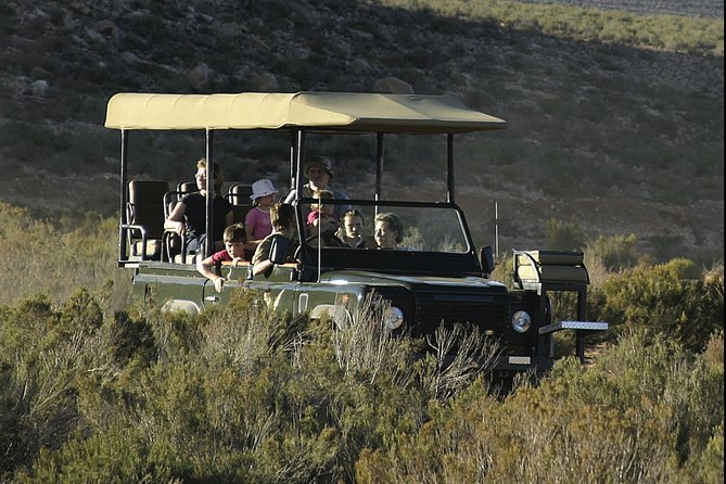 Aquilla BIG5 private Safari Cape Town - The guide experience, including Tingo and the cultural context on the way