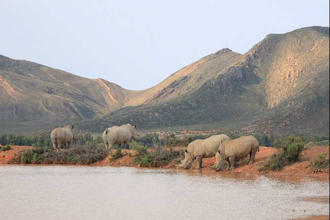 Aquilla BIG5 private Safari Cape Town - Who this safari fits best, and who should look elsewhere