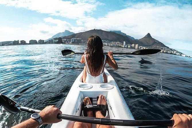 Atlantic Outlook Kayak Tour Cape Town - Wildlife odds: dolphins, penguins, seals, and more