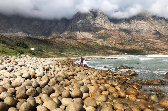 Authentic Cape Town Tour - Photos and moments: getting Cape Town in your frame