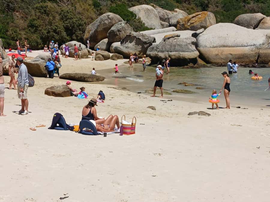 Beach Day at Boulder's Beach & Penguin watching, Half Day - Key things I’d plan around
