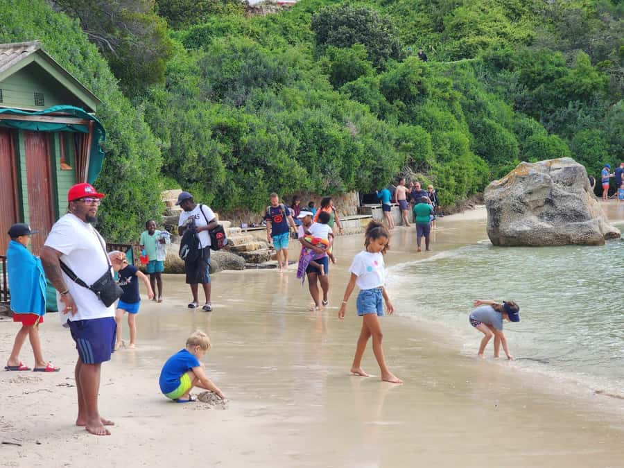 Beach Day at Boulder's Beach & Penguin watching, Half Day - Who this tour suits best