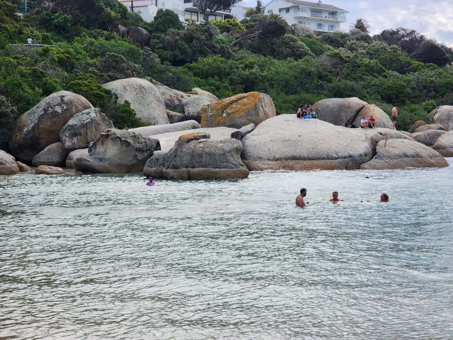 Beach Day at Boulder's Beach & Penguin watching, Half Day - Boulders Beach Penguin Colony: your two hours of close-up magic