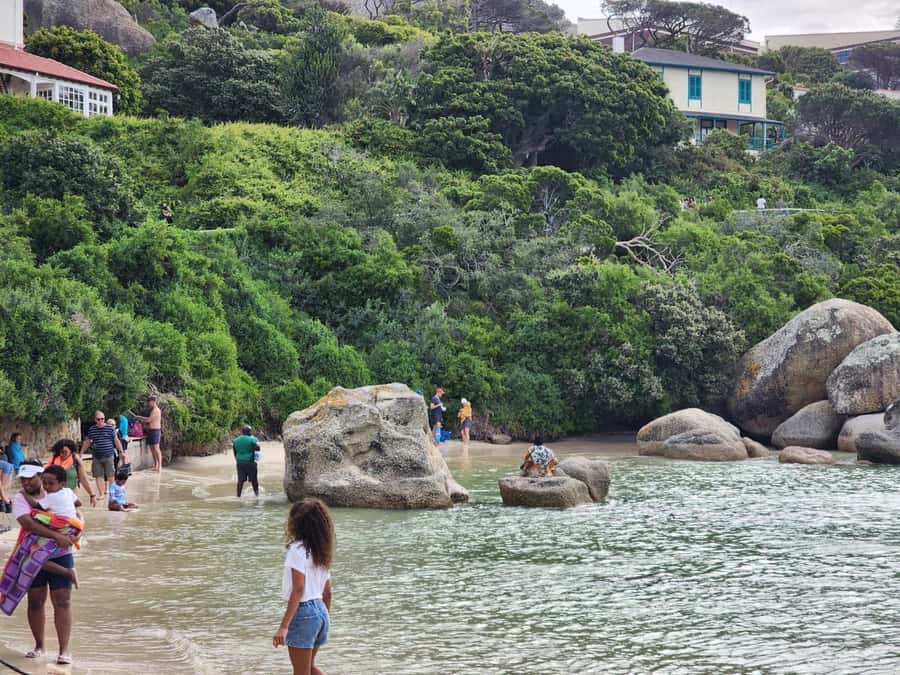 Beach Day at Boulder's Beach & Penguin watching, Half Day - Muizenberg huts: a quick stop with real photo payoff