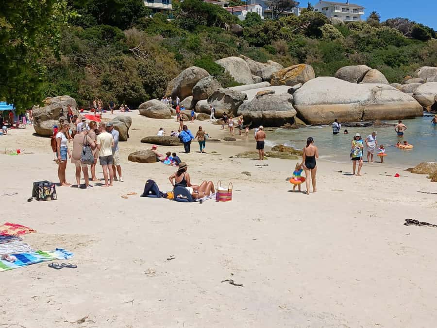 Beach Day at Boulder's Beach & Penguin watching, Half Day - Pickup, group pacing, and what to expect on the road