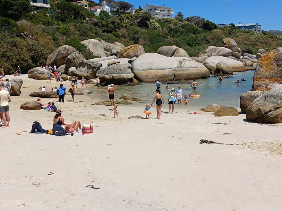 Beach Day at Boulder's Beach & Penguin watching, Half Day - The guides: why names keep coming up