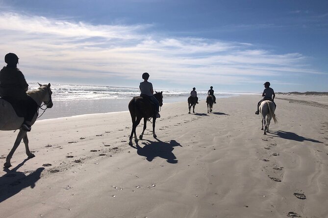 Beach Horse Ride in Yzerfontein, Western Cape - Key things that make this ride click