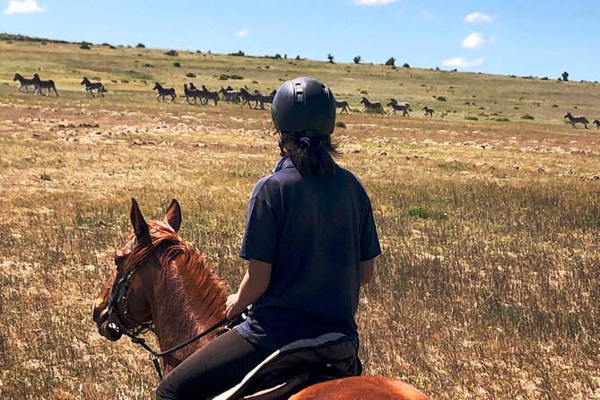 Beach Horse Ride in Yzerfontein, Western Cape - Photos and videos: what you can get without interrupting your ride