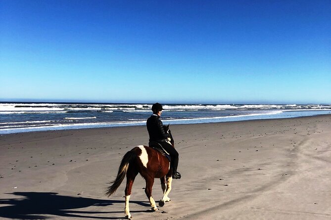 Beach Horse Ride in Yzerfontein, Western Cape - The 26 km beach portion: what the ride actually feels like