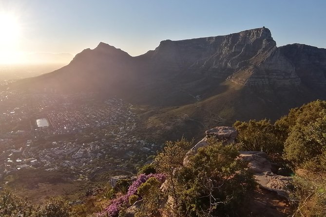 Beautiful Table Mountain Hike - Table Mountain by Platteklip Gorge: Fast, Old-School, and Guide-Led