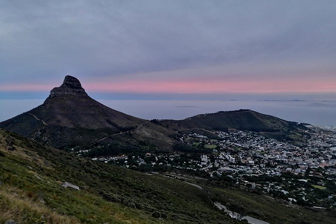 Beautiful Table Mountain Hike - The Hike Itself: Flora, Fauna, and Mountain History on the Way Up