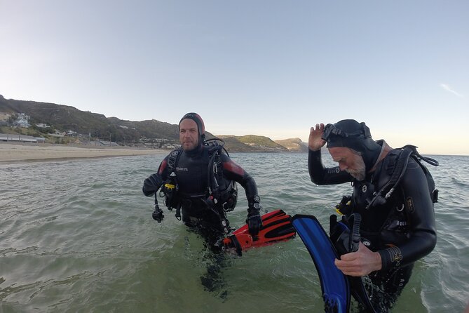 Beginner Scuba Diving Experience in Simonstown. - Key Highlights You Will Actually Care About