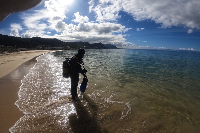 Beginner Scuba Diving Experience in Simonstown. - Simon’s Town Meeting Point, Pickup, and Why Location Matters