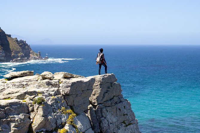 Best of Cape Town Cape Point and Wineries Combined Private Tour - Stellenbosch pass-through and the Waterford Estate tasting experience