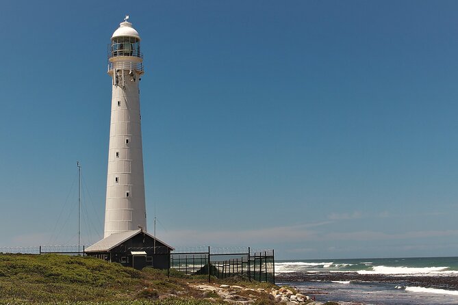 Best of Cape Town Cape Point and Wineries Combined Private Tour - Price and fees, plus how to budget like a pro