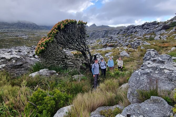 BEST of Table Mountain! Exhilarating Full-day Guided Hike - Key Highlights You’ll Care About