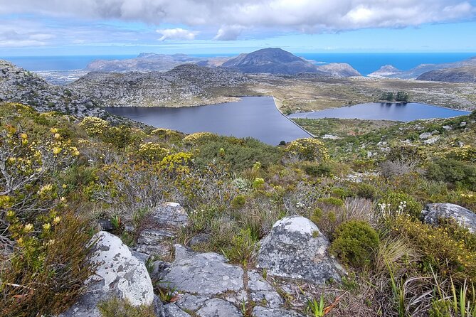 BEST of Table Mountain! Exhilarating Full-day Guided Hike - Backwater Ravine to Echo Valley: Where the City Disappears