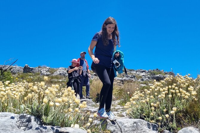 BEST of Table Mountain! Exhilarating Full-day Guided Hike - Gear, Pace, and Who This Hike Suits Best