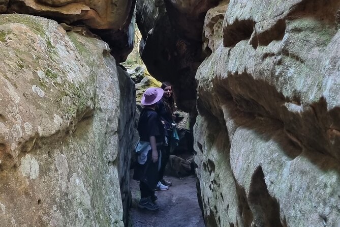 BEST of Table Mountain! Exhilarating Full-day Guided Hike - Tranquillity Cracks and Fynbos: Learning the Mountain While You Walk
