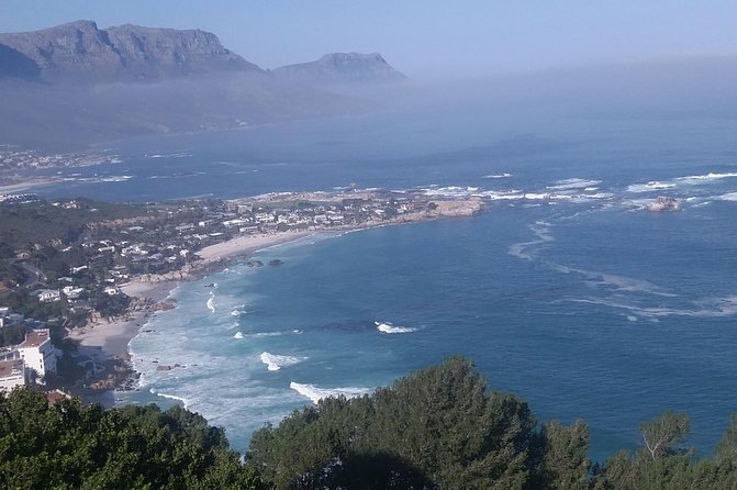 Best Of The Cape 8 Hour Private Tour - Why an 8-hour private loop is a smart way to do the Cape