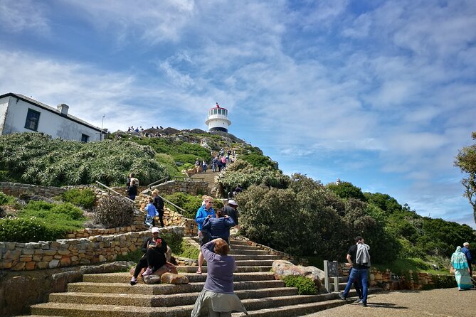 Best of the Cape Full Day Private Tour - Noordhoek Farm Village for coffee, juice, and local art