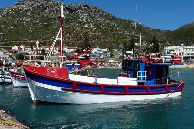 Best of The Cape Full Day Private Tour with Table Mountain - Table Mountain National Park: Plan Your Cable Car Tickets