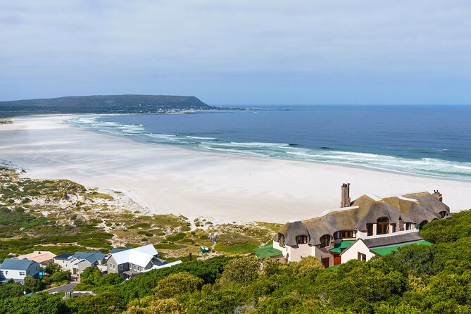 Best of The Cape Full Day Private Tour with Table Mountain - Camps Bay and Clifton: Quick Photos, Big Coast Energy