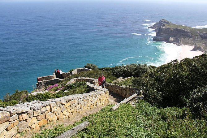 Best of The Cape Full Day Private Tour with Table Mountain - Chapman’s Peak Drive Viewpoint: One Scenic Road, One Real Stop