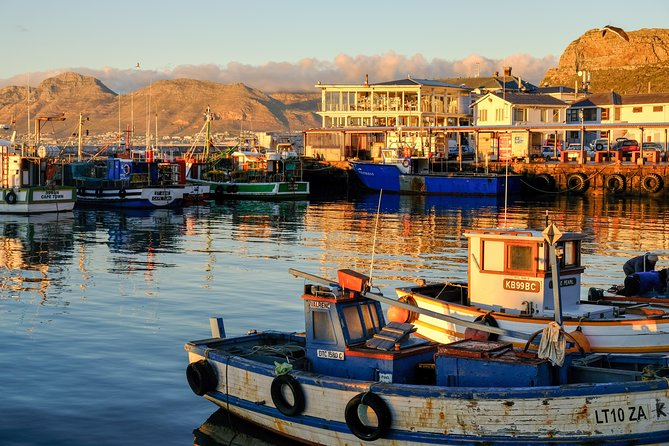 Best of the Cape Peninsula Private Tour - Cape of Good Hope: wildlife chances and big-sky viewpoints
