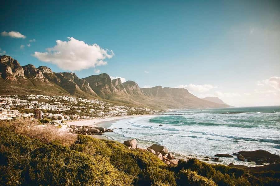 Best of the Cape Peninsula & Wine Route with Wine Tasting - Simon’s Town, Ostrich Viewing, and the Optional Penguin Colony Choice
