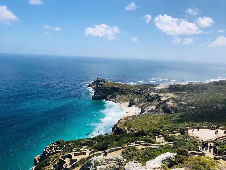 Best of the Cape Peninsula & Wine Route with Wine Tasting - Group Size and Guides: Why the Human Touch Matters Here