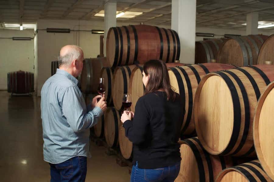 Best of the Cape Peninsula & Wine Route with Wine Tasting - Who This Tour Is Best For