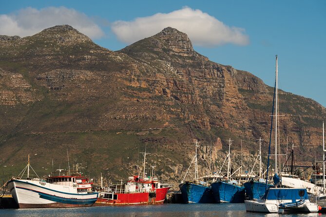Best of the Cape Private full day tour - Table Mountain by cable car: the view you plan your trip around