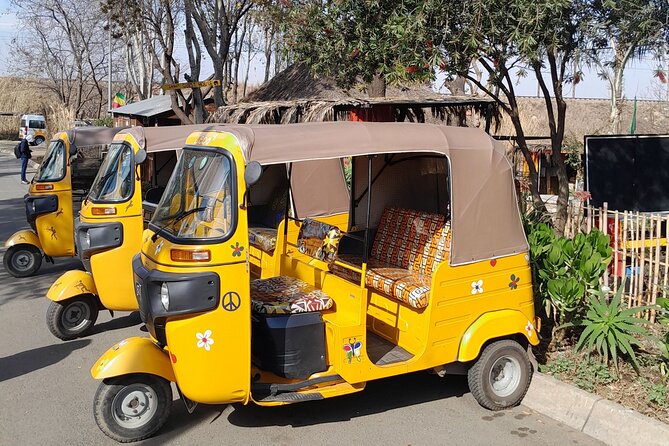 Bicycle or Tuk Tuk Soweto Guided Experience - Riding Soweto in 4 hours, bike and tuk tuk style