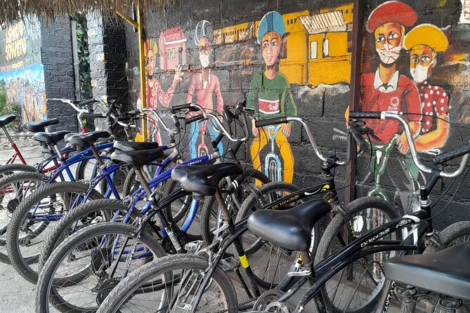 Bicycle or Tuk Tuk Soweto Guided Experience - Orlando Towers, a taste of Soweto Gold, and a brief shantytown walk