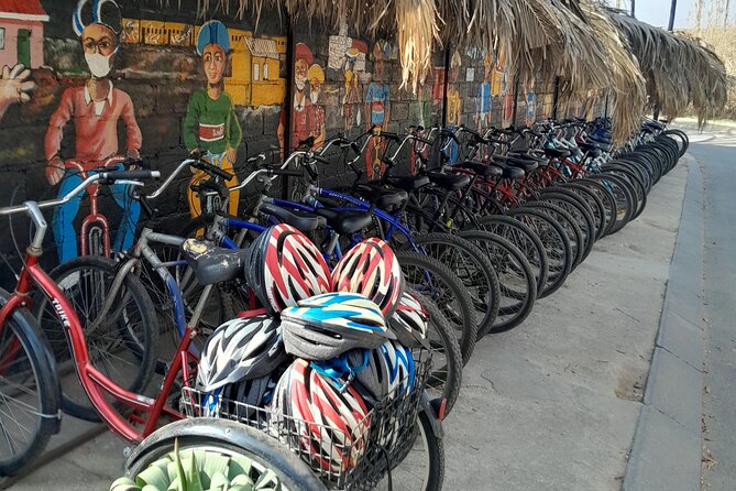 Bicycle or Tuk Tuk Soweto Guided Experience - Should you book this bicycle or tuk tuk Soweto tour?