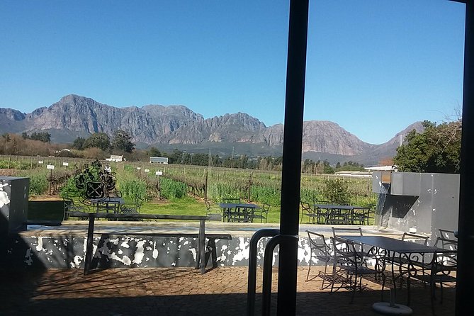 Big 5 Full Day Safari Aquila Lunch plus Breakfast From Cape Town - Big Five day in a managed reserve: getting close, managing expectations
