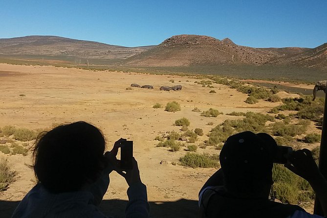 Big 5 Full Day Safari Aquila Lunch plus Breakfast From Cape Town - The Aquila game drive: open-air 4x4, barriers, and the right kind of comfort