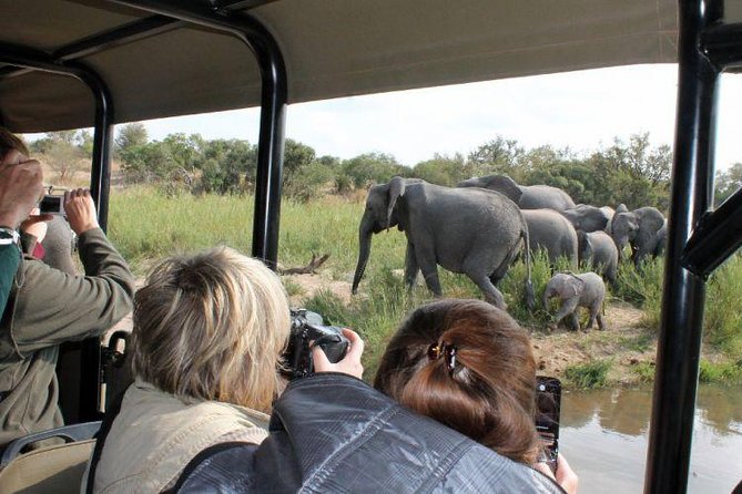 BIG 5 Kruger 3 Days Safari from Johannesburg - Key Things You Should Know Before You Go