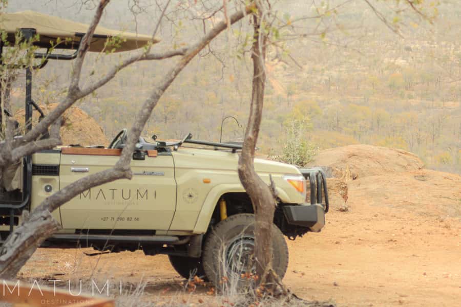 Big 5 Safari Am or Pm - Key moments that make this safari click