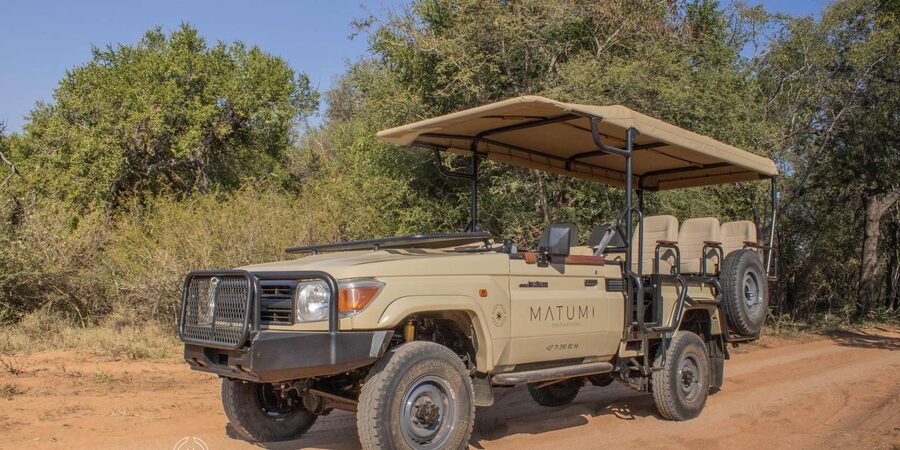 Big 5 Safari Am or Pm - Birds, Trees, and the Small Stuff That Makes You Feel Smarter