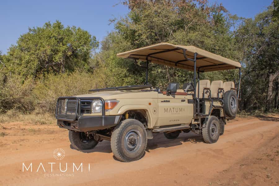 Big 5 Safari Am or Pm - Open Safari Vehicles: Why Close Views Are the Whole Point