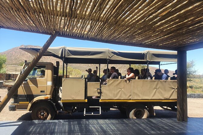 Big 5 Safari Aquila Full Day Private Return From Cape Town - Optional Wine Tasting Return: Stellenbosch, Paarl, or Franschhoek