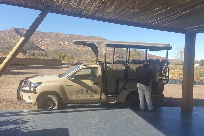 Big 5 Safari Aquila Full Day Private Return From Cape Town - Final Call: Should You Book Big Five Safari Aquila Full Day Private Return?