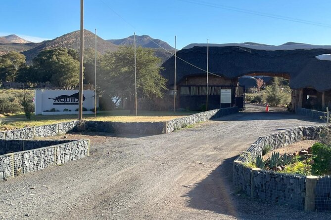 Big 5 Safari Aquila Full Day Private Return From Cape Town - FAQ