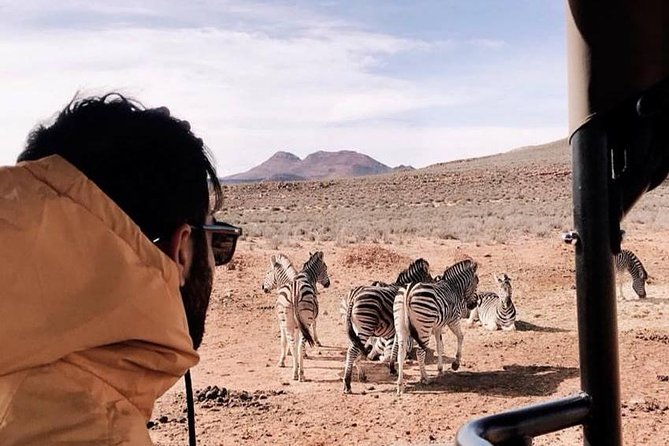 Big 5 Safari One Day Tour - Price and Value: $227.99 for Safari Time Plus Transfers