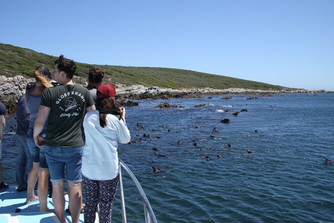 Big 5 Sea Safari in Walker Bay from Gansbaai - Getting to Ivanhoe Sea Safaris in Gansbaai (and what to bring)