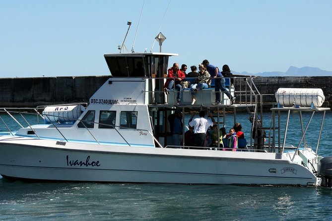 Big 5 Sea Safari in Walker Bay from Gansbaai - The 2-hour cruise: Harbor to De Kelders and De Platt